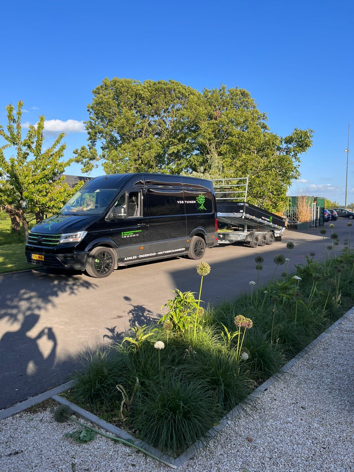 Hapert Cobalt HM3 Ferro